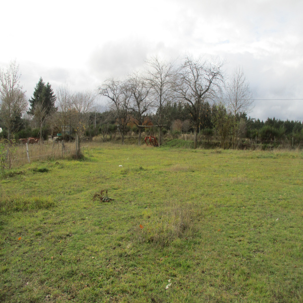 Offres de vente Terrain Beaune-sur-Arzon 43500
